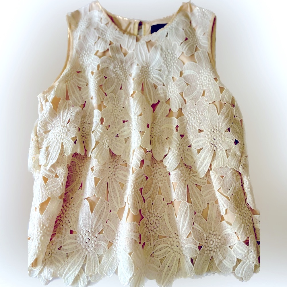 Anthropologie DOLCE VITA Brand Embroidered Top